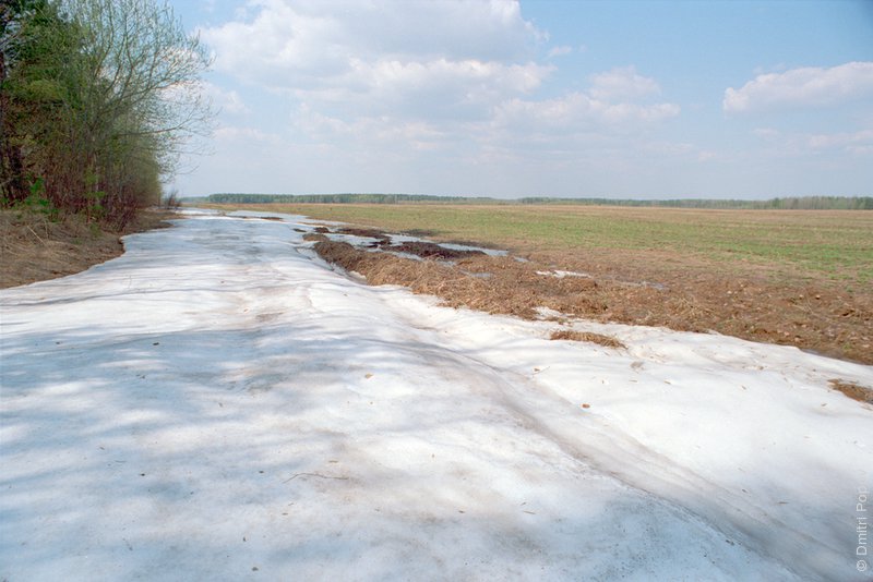 Снег на краю поля