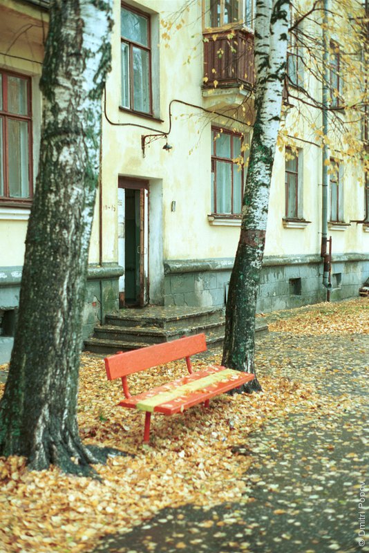 29-entrance-branch