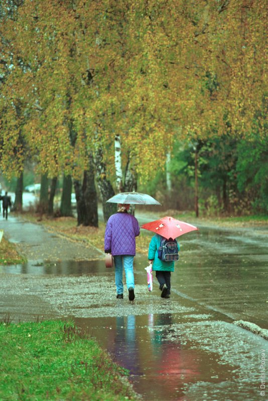 32-people-rain