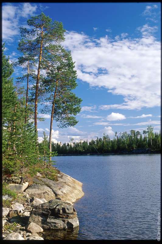 Берег острова