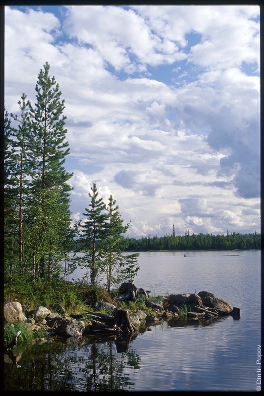 Берег острова