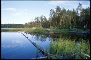 Берег острова