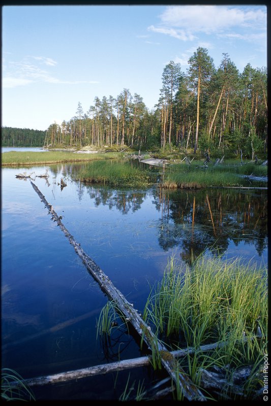 Берег острова