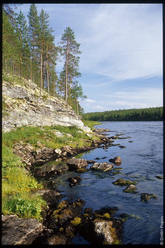 Каменный берег реки