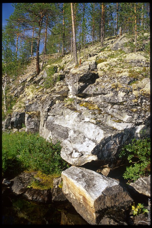Берег северной реки