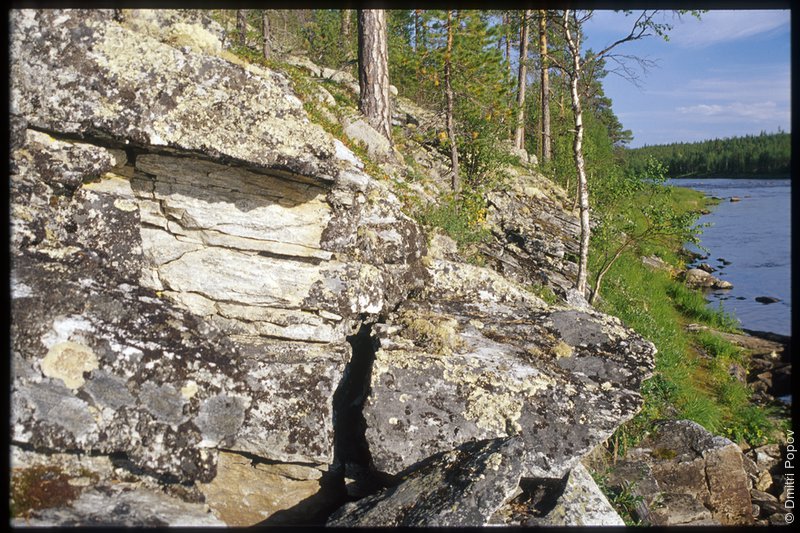Берег северной реки