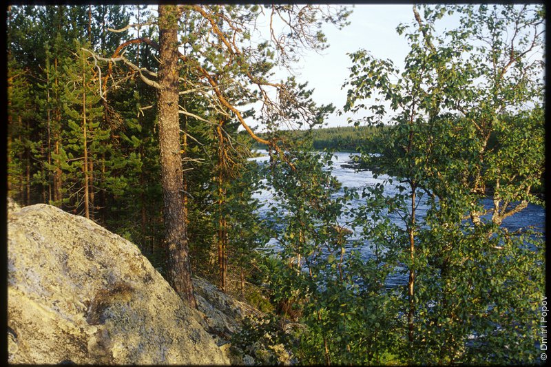 24-pine-river