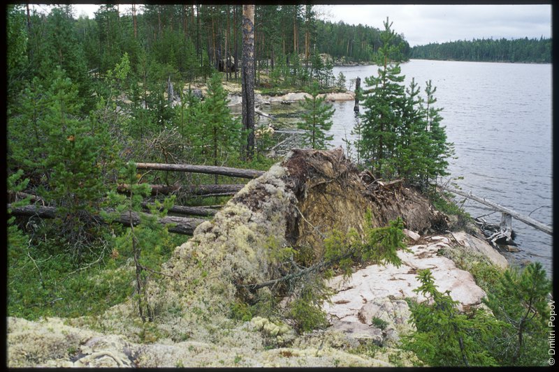 05-island-ground-stone