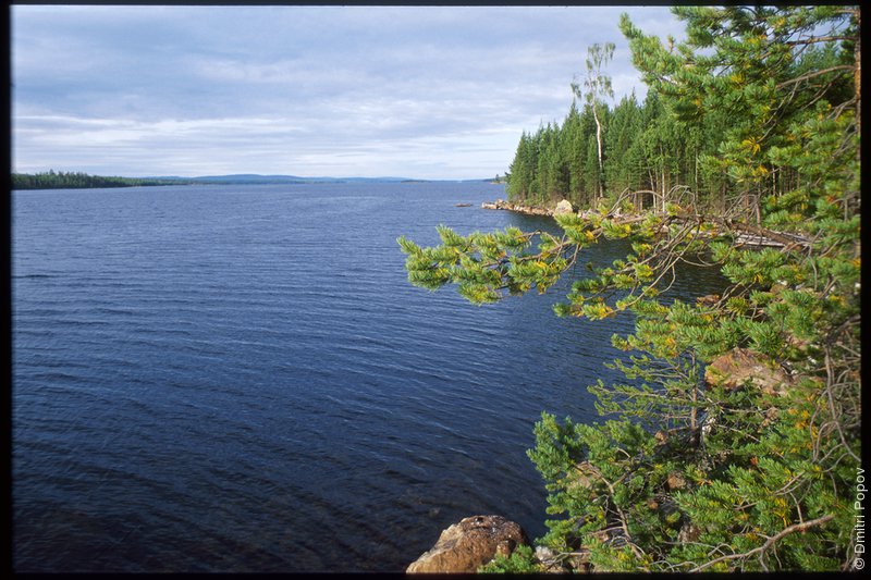 Иовское водохранилище