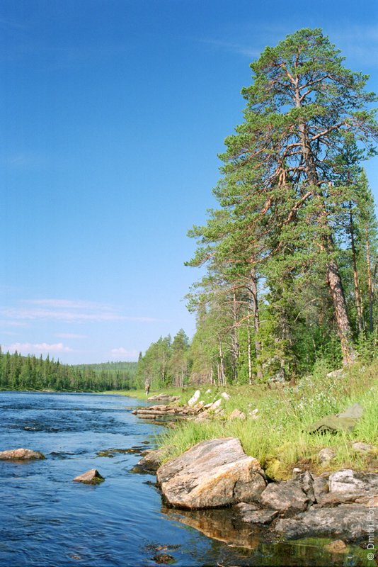 Река Тумча