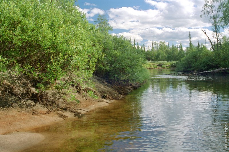 08-river-sand-bank