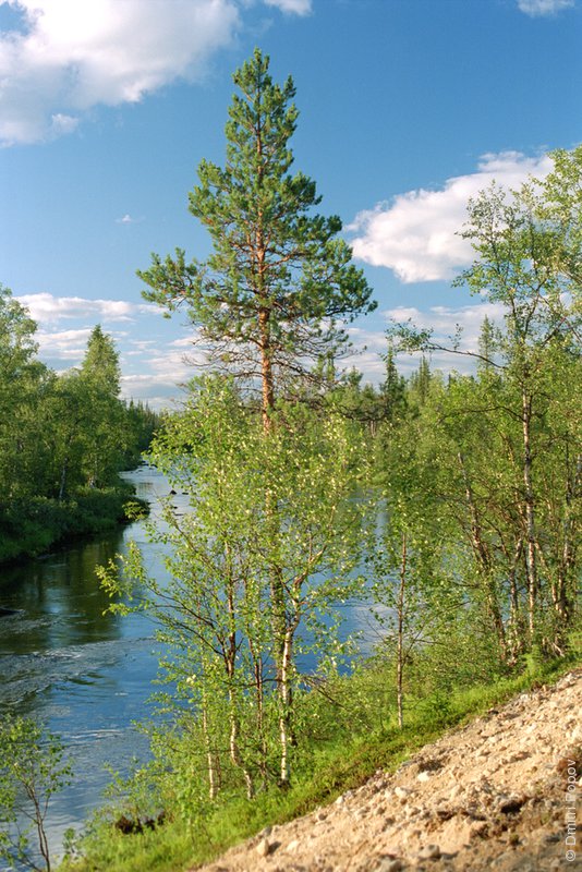 Река Ватсаманайоки