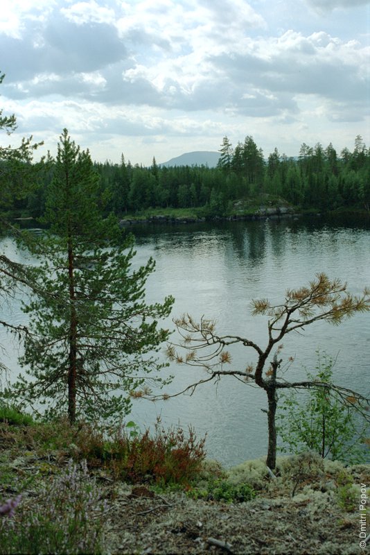 Река Тумча. Высокий берег 