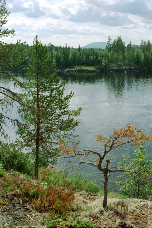 Река Тумча. Высокий берег 