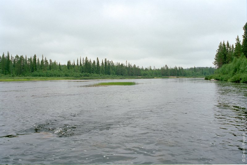 Река Тумча. Пасмурный день