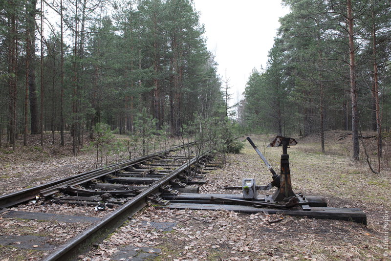 Заброшенная железнодорожная стрелка в лесу