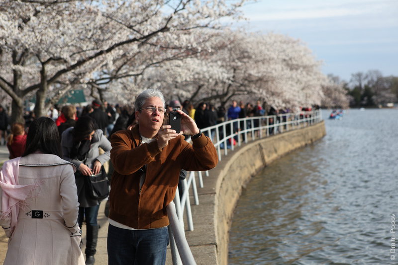 IMG_7400-tidal-basin