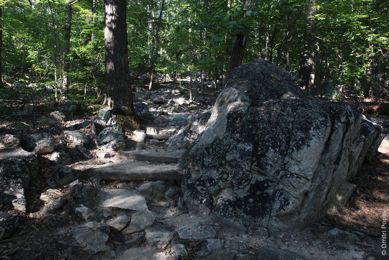 IMG_0158-green-trail