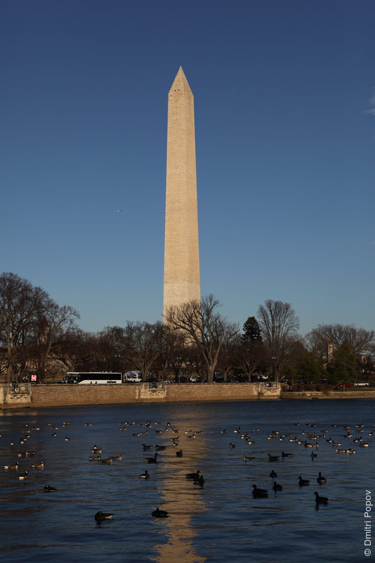 IMG_2034-tidal-basin-washington-monument