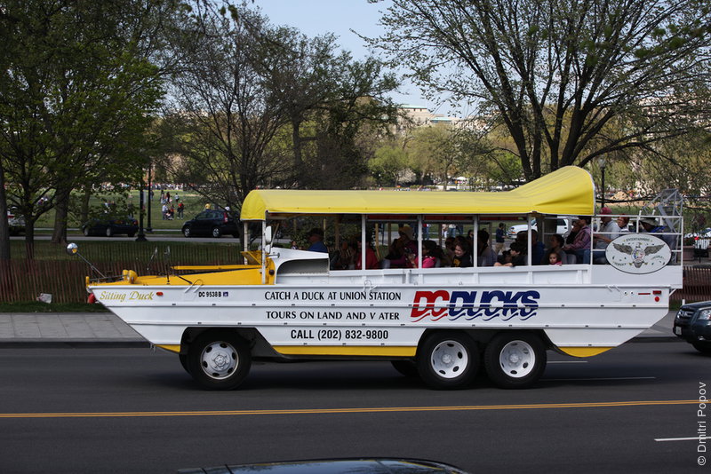 IMG_2550-dc-ducks-amphibious