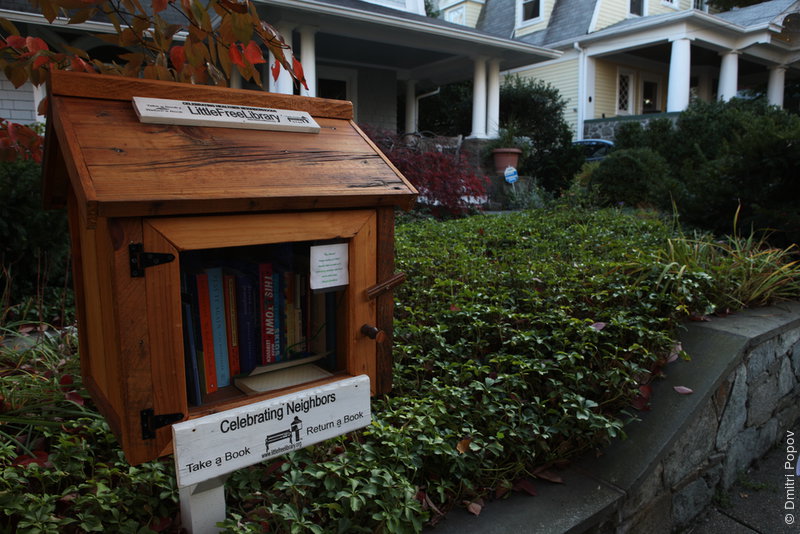 IMG_8019-linda-greensfelder-little-free-library