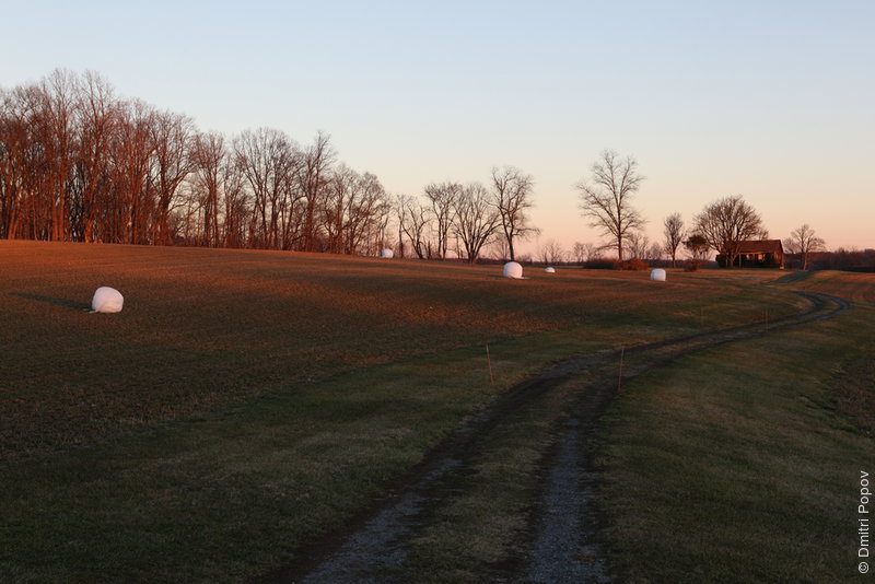 IMG_2006-hay-bales-plastic-wrap