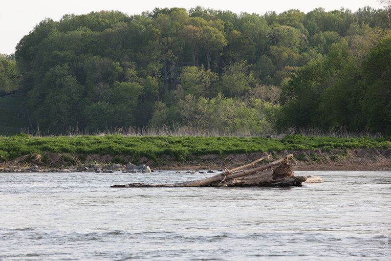 IMG_2883-potomac-branch