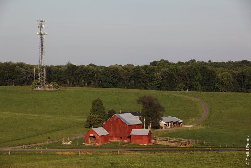 IMG_5965-hargett-farms