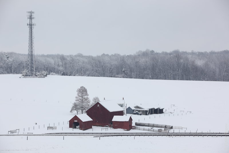 IMG_8224-hargett-farms