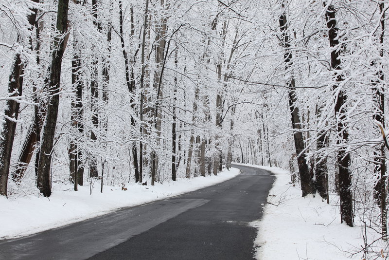 IMG_8247-peach-tree-road