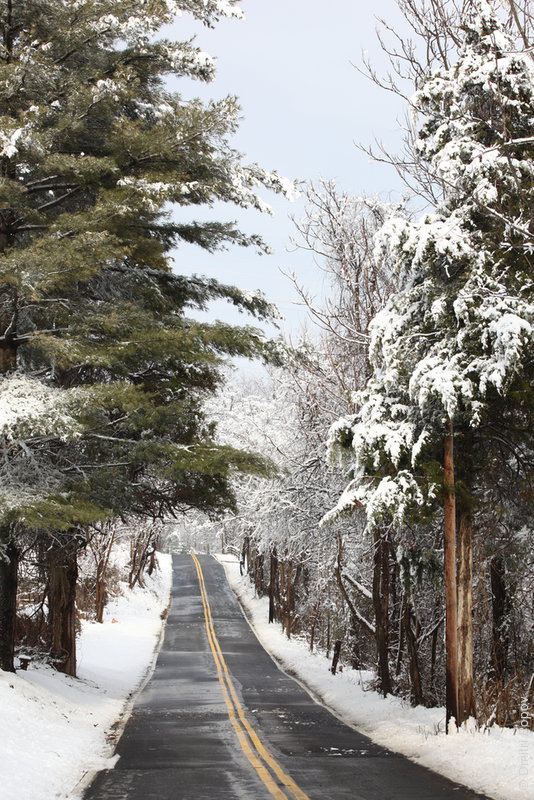 IMG_8274-peach-tree-road