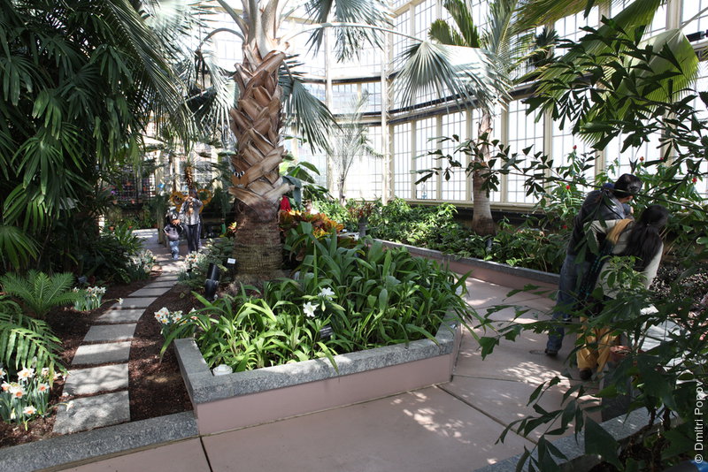 IMG_2227-palm-house