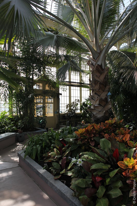 IMG_2232-palm-house