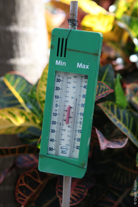 IMG_2237-min-max-thermometer