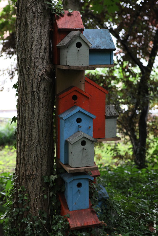 IMG_4686-birdie-apartment-complex