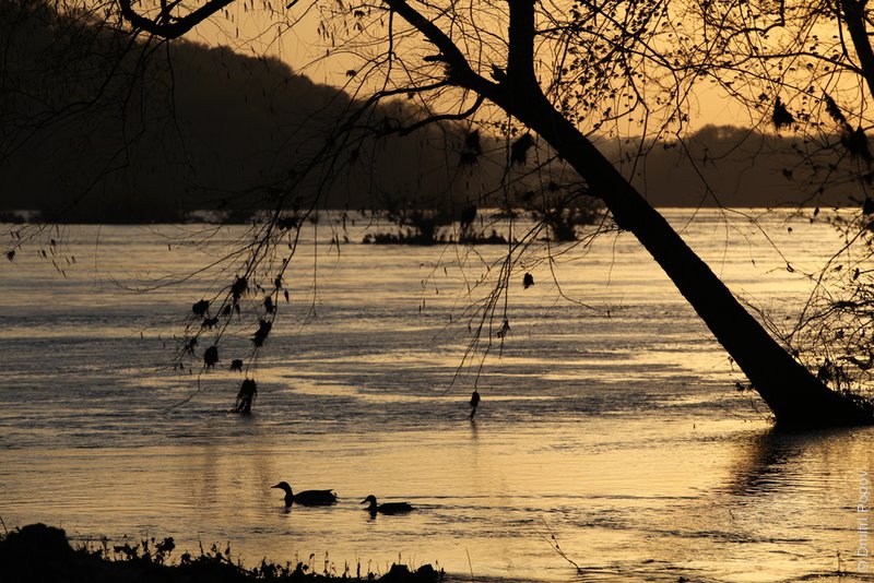 IMG_2709-potomac-sunset