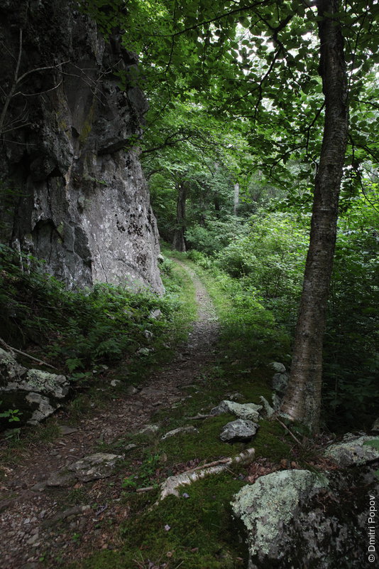 Appalachian Trail