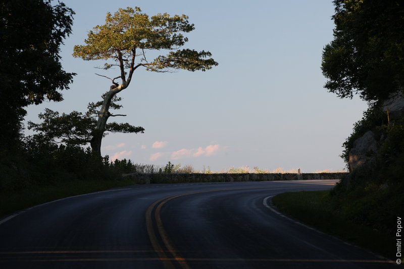 IMG_5773-skyline-drive