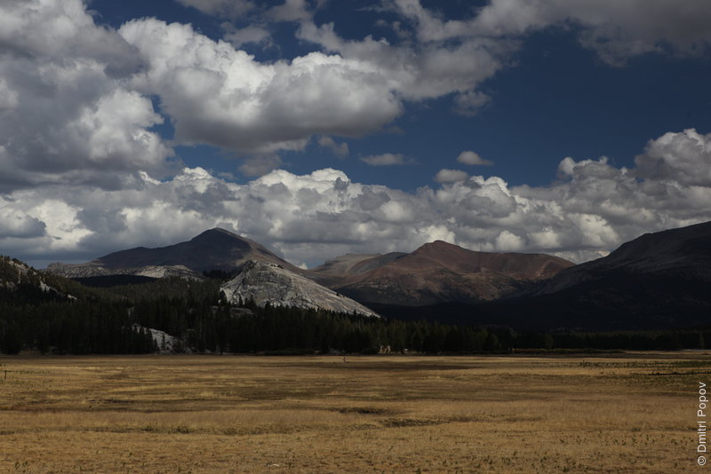 IMG_0452-tuolumne-meadows