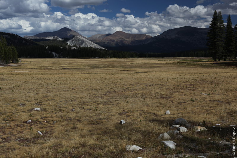 IMG_0453-tuolumne-meadows