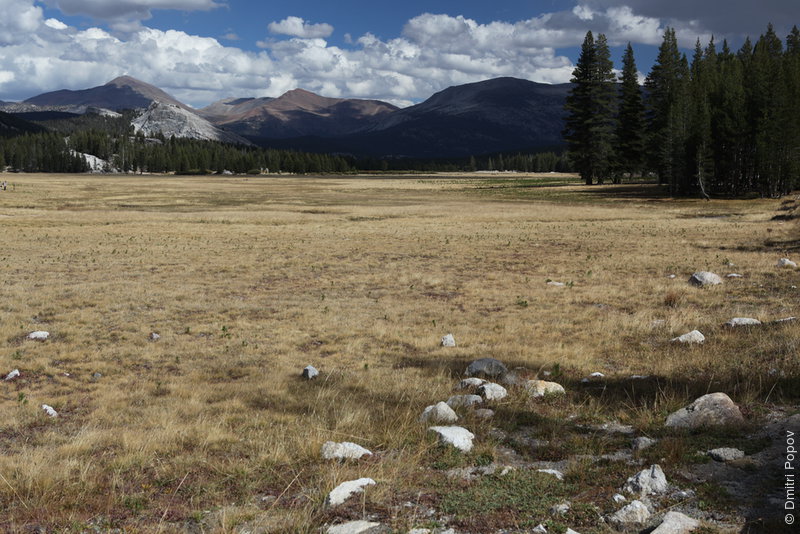 IMG_0457-tuolumne-meadows