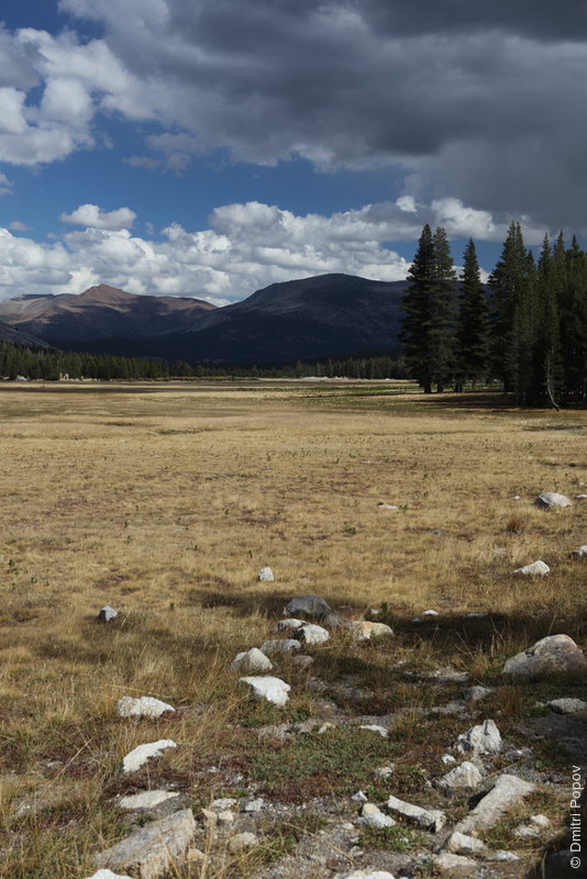 IMG_0459-tuolumne-meadows