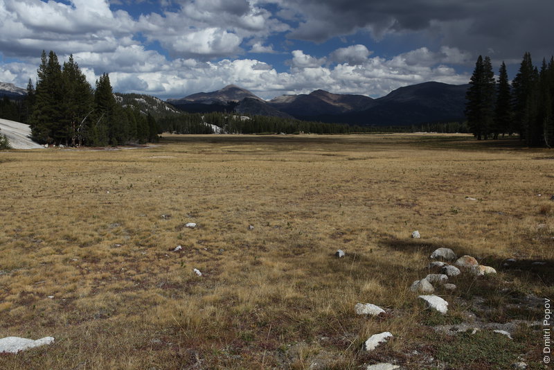 IMG_0460-tuolumne-meadows