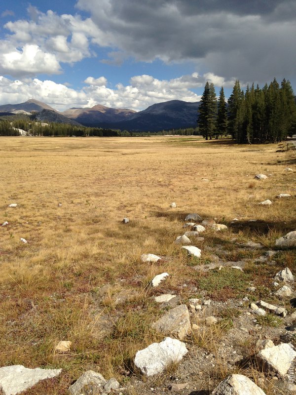 IMG_4217-tuolumne-meadows