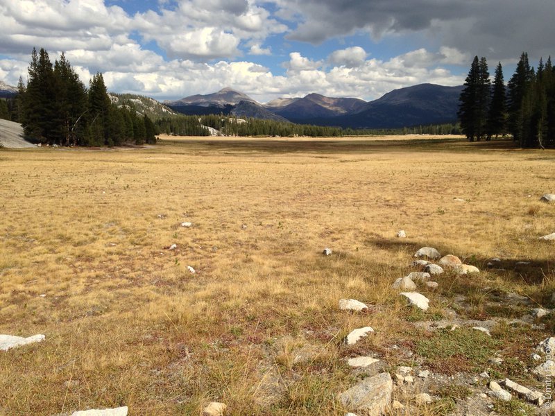 IMG_4224-tuolumne-meadows