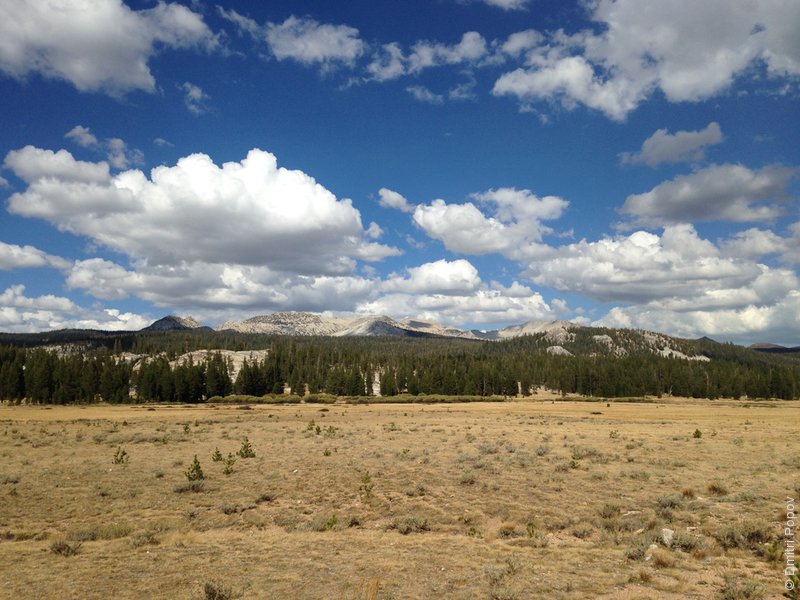 IMG_4225-tuolumne-meadows