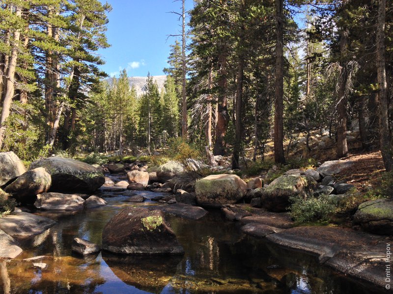 IMG_4268-dana-fork-tuolumne-river