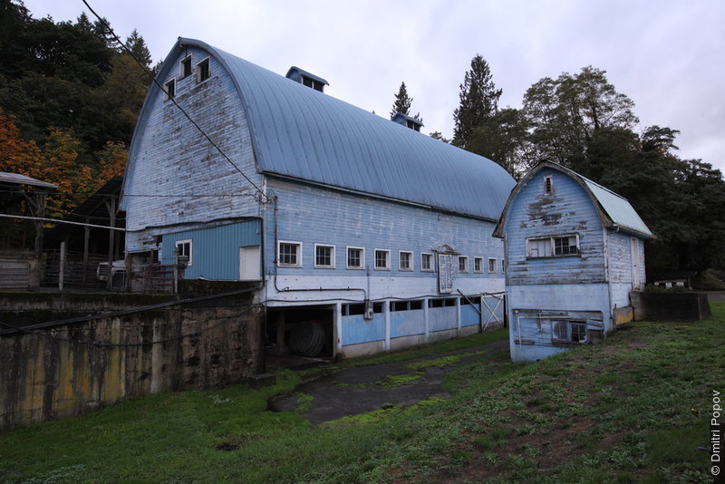 IMG_5391-old-barn